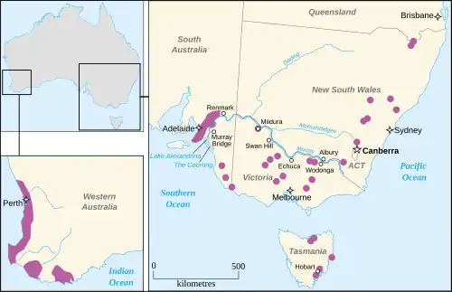 Cartographie des différents vignobles australiens.