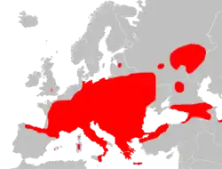 Planisphère de couleur grise représentant en rouge la présence du Loir gris dans le monde (Europe et Asie de l'Ouest).