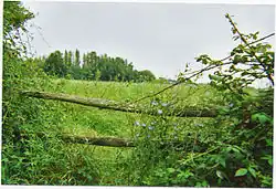 Paysages bénédictins du Marais poitevin.