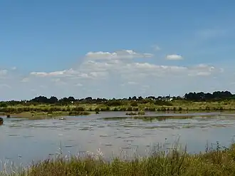 Image illustrative de l’article Marais de Lasné