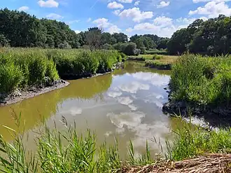 Image illustrative de l’article Marais de Pompas