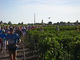 Image illustrative de l’article Médoc (AOC)