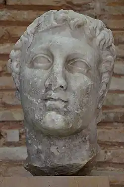 Tête d'homme (Démétrios Poliorcète ?)