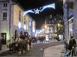 Balade en calèche de comtois.