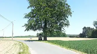 Chapelle Saint-Roch (Rue de Tillier).