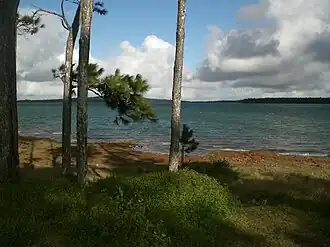 Image illustrative de l’article Mare aux Vacoas