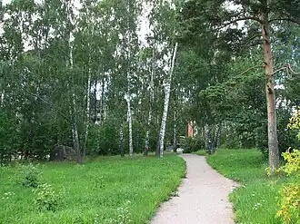 Sentier et arbres du parc.