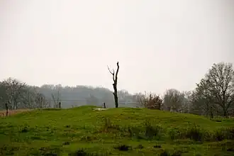 Emplacement des ruines de l'abbaye de Marienkamp