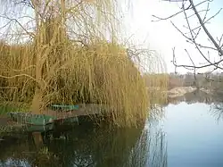 L'Ardusson à Marigny-le-Châtel en hiver.