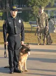 Un homme en uniforme avec un chien en laisse assis à ses pieds