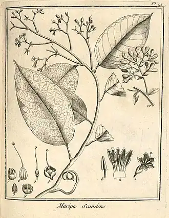 Description de cette image, également commentée ci-après