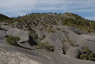 Marnes noires de l'Adret de l'Escure.
