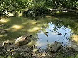Une mare au cœur de la colline.