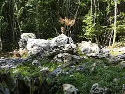 L'allée couverte no&nbsp;2.