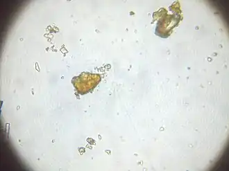 JSC Mars-1A grossi 400 fois.