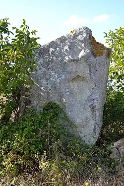 Pierre Levée de la Grouas