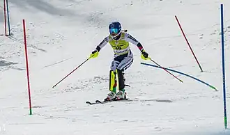 Image illustrative de l’article Martina Dubovská