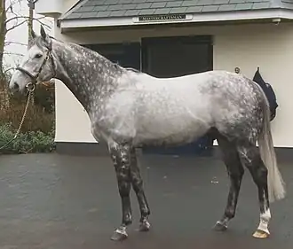 Image illustrative de l’article Mastercraftsman