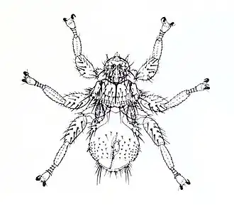 Description de cette image, également commentée ci-après