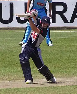 Photographie représentant Matthew Wade en action, prise en 2011.