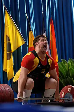 Image illustrative de l’article Matthias Steiner