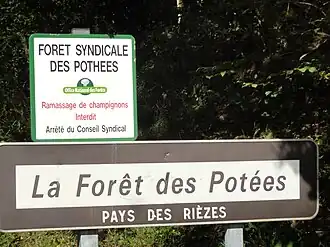 Image illustrative de l’article Forêt des Pothées
