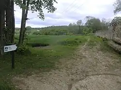 Sentier de grande randonnée 11