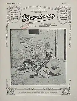 Un lion « marabout » photographié à Bordj Bou Arreridj en Algérie en 1910.