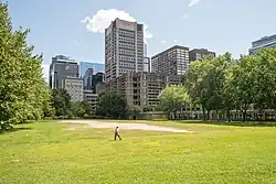 Vaste terrain gazonné au sein du centre-ville de Montréal