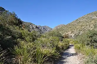 McKittrick Canyon Trail