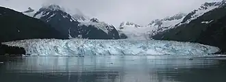 Vue du front glaciaire du glacier Meares plongeant dans la baie Unakwik.