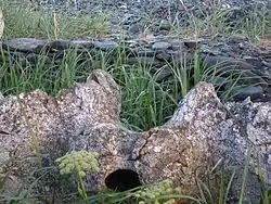 Fosse de stockage de viande