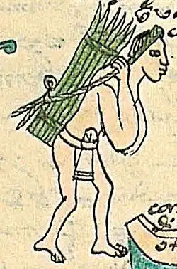 Mecapal sur le front, charge sur le dos. Codex Mendocino