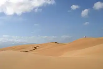 Désert chaud. Les dunes de sable du parc national Los Médanos de Coro, falcon.