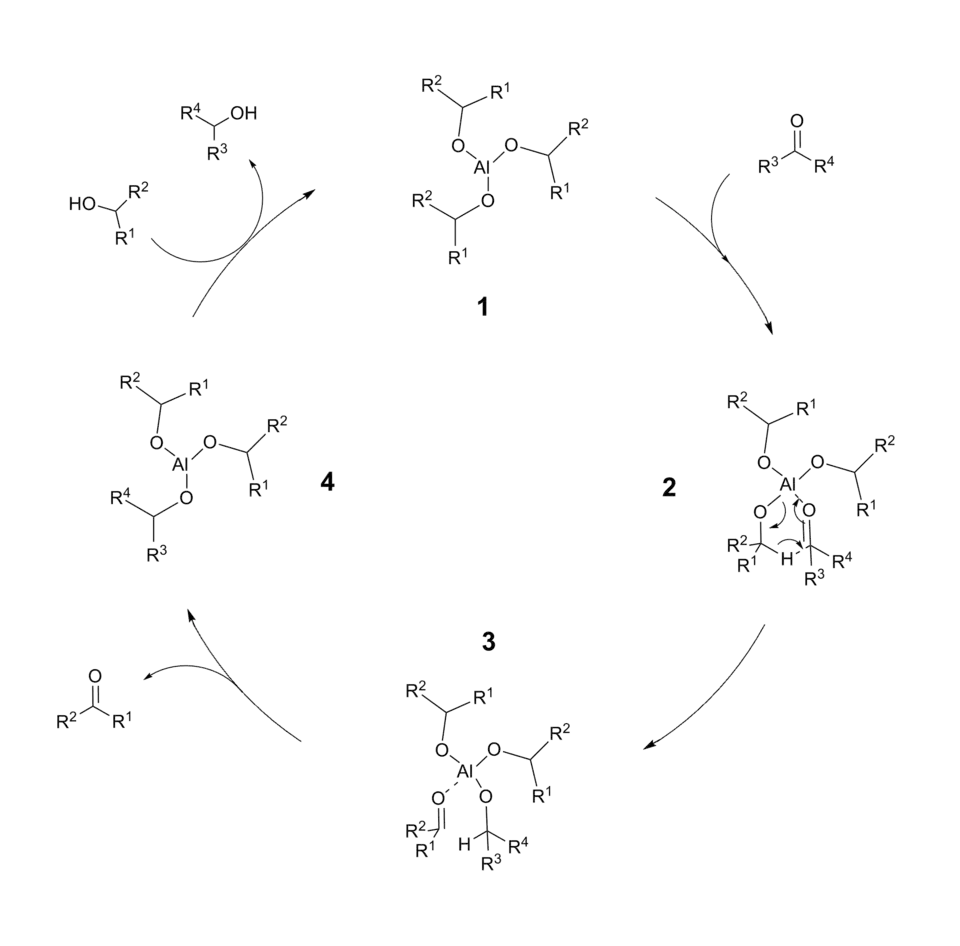Cycle catalytique de la réduction de Meerwein-Ponndorf-Verley.