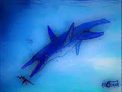 Restauration de Scalamagnus chassé par Megacephalosaurus.