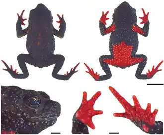 Description de cette image, également commentée ci-après