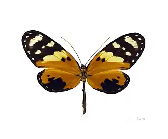 Description de cette image, également commentée ci-après