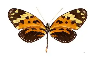 Description de cette image, également commentée ci-après