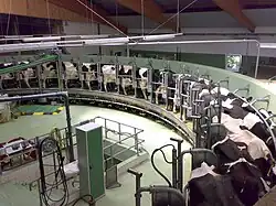 Autre salle de traite rotative contenant 80 vaches, 2009