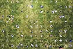 Alignements de petits cercles blancs, certains vides, certains occupés par une personne.