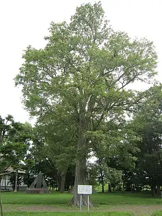 Description de cette image, également commentée ci-après