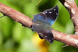 Description de cette image, également commentée ci-après
