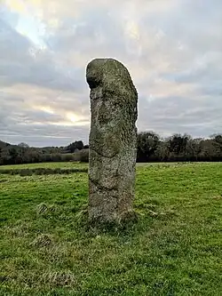 Image illustrative de l’article Menhir de Magourou