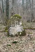 Un des menhirs de la Mancellière.