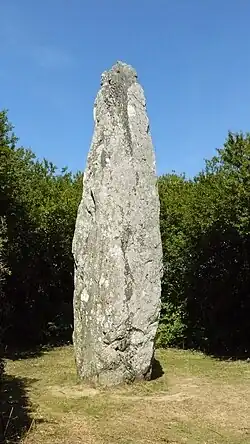 Le menhir nommé "Salver ar Bed" ("Sauveur du monde") situé au lieu-dit de Mez er Groez.