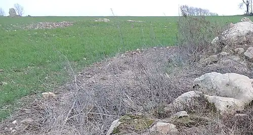 Le menhir et les blocs mégalithiques à l'ouest.