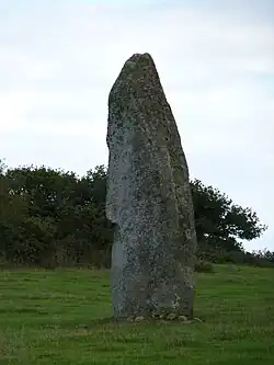 Image illustrative de l’article Menhirs de Goresto