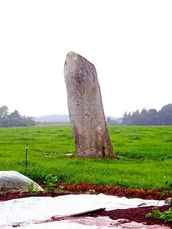 Photographie d'un menhir dans un champ.
