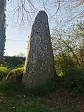 Menhir de Kerineg